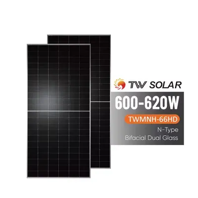 TW Solar 620W Bifacial panel
